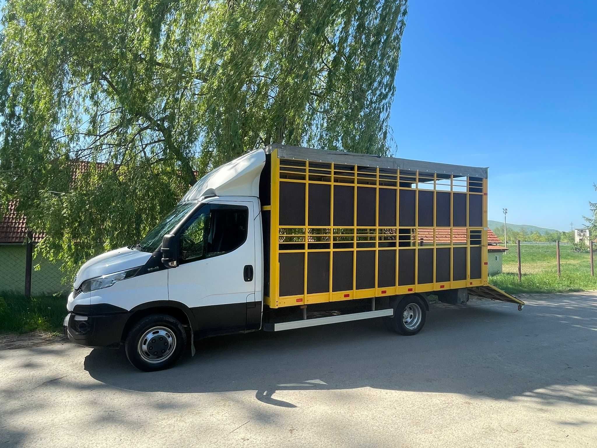 Iveco Daily Transport animale