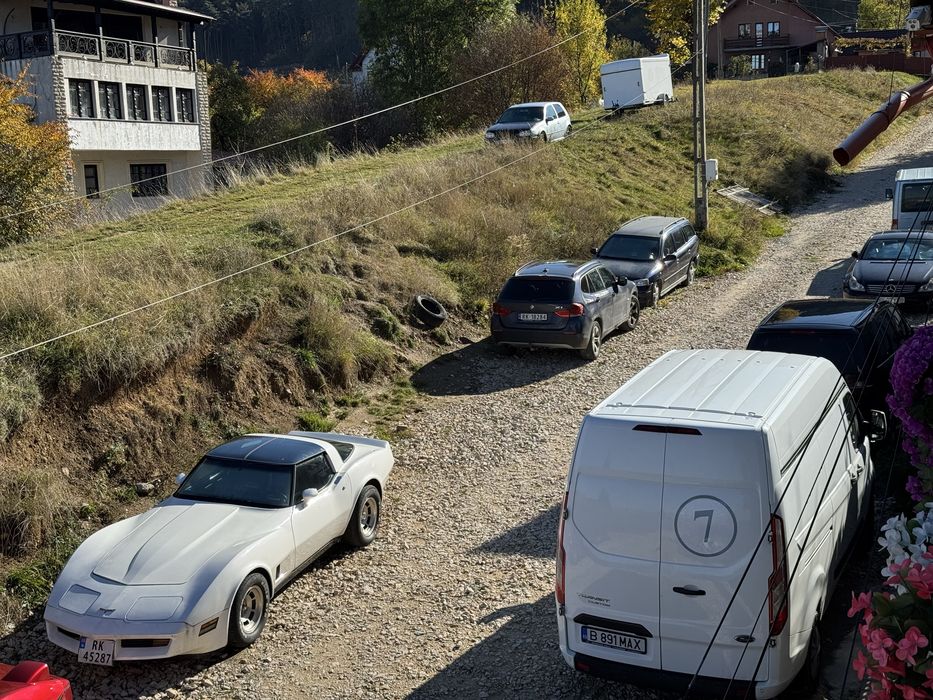 Debarasam moloz, resturi vegetale, iarba taiata etc