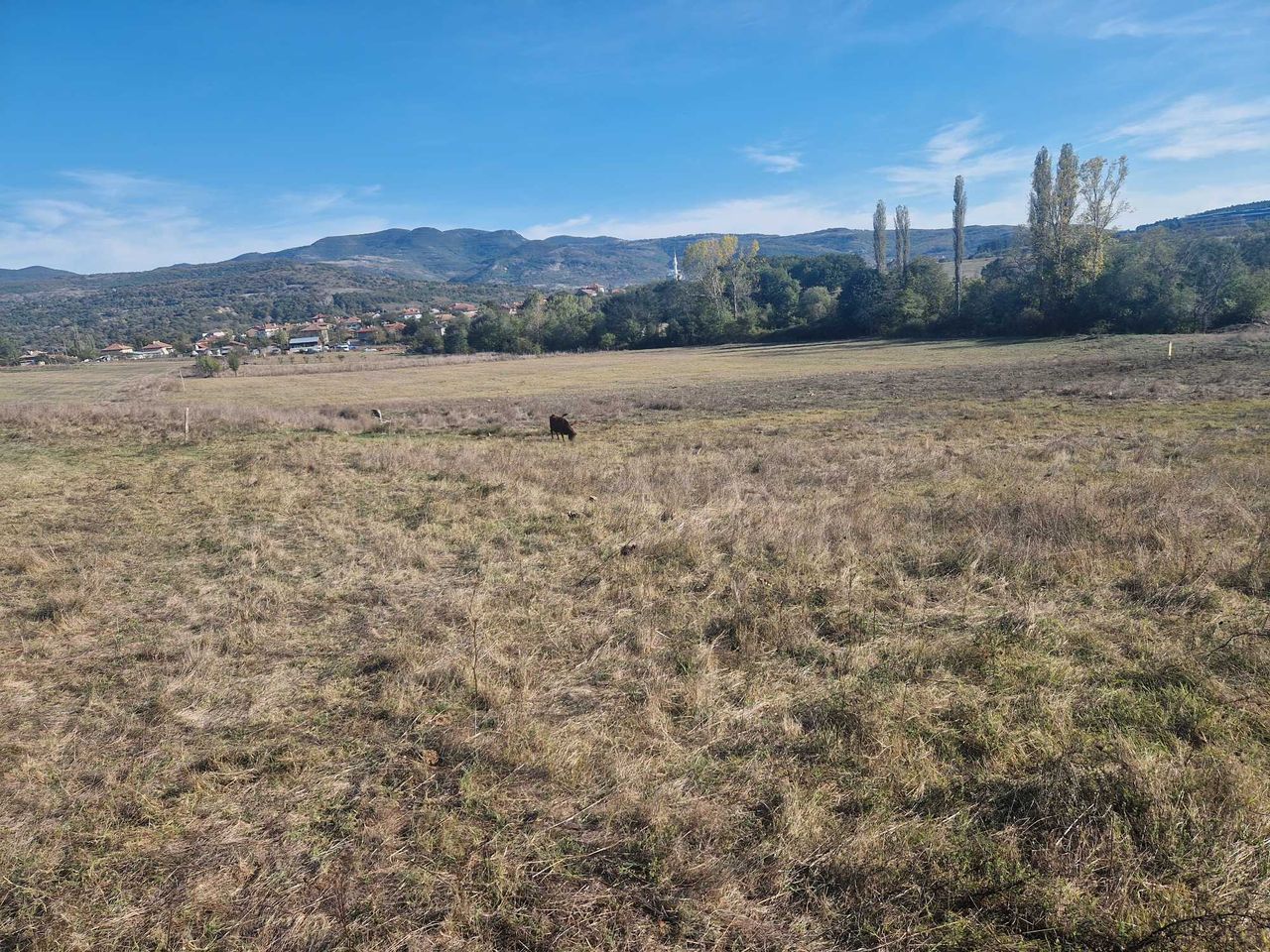 Продава се Земеделски имот в с. Глухар, Област Кърджали -  кв.м за 3145 €/дка - Снимка #2