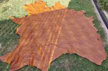 Piele naturala bovina
