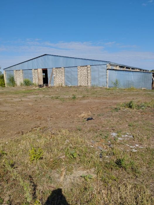 Продам крестьянское хозяйство