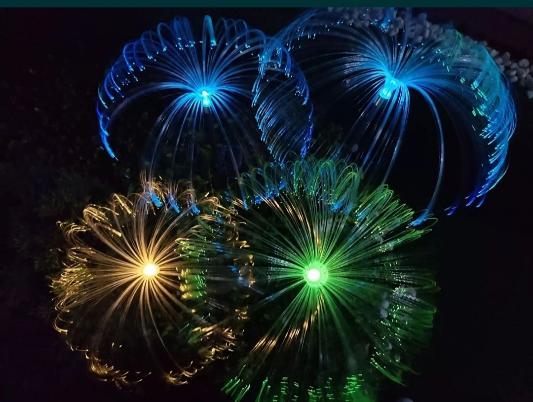 Солнечная медуза Свет