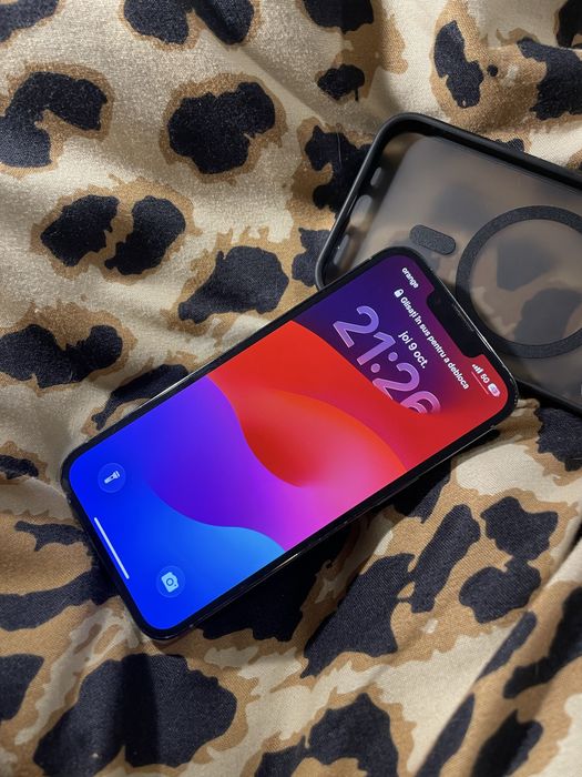 Ipihone 13 pro max
