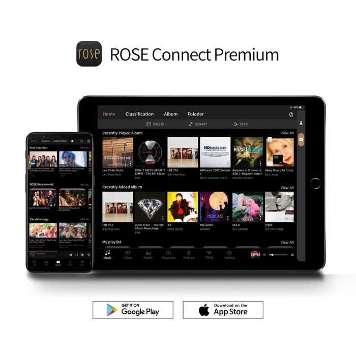 Streamer DAC HiFi Rose 150B