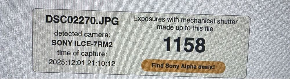 Sony A7R II + FE 28–70mm 1158 cadre