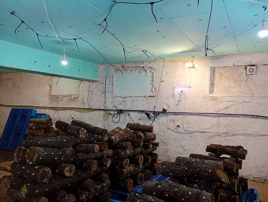 Дава се под наем Промишлена сграда в с. Яхиново, Област Кюстендил - 120 кв.м за 765 € - Снимка #1