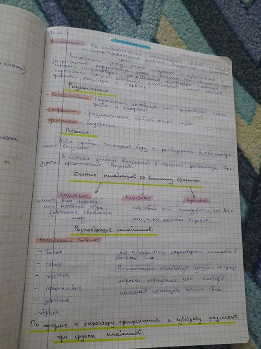 Напишу лекции дешево