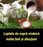 Lapte de capra !!! Fara gust și miros !!