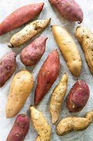 Răsaduri, butași, semințe, sămanța, răsad, lăstari de Cartofi Dulci !