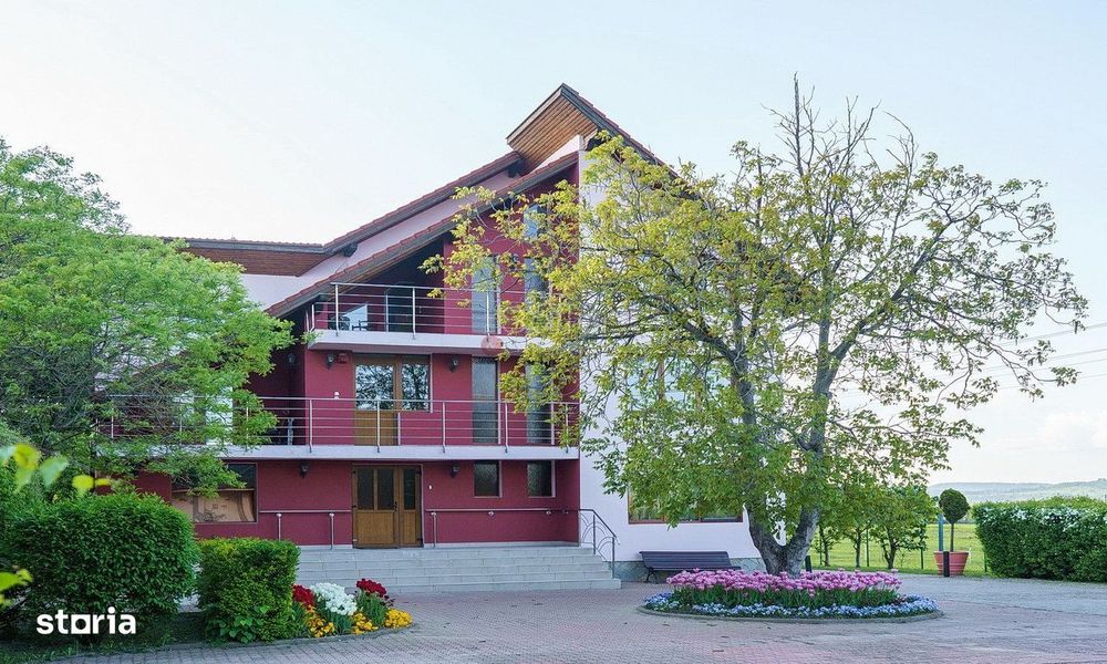 Proximitate fata de Castelul Bran