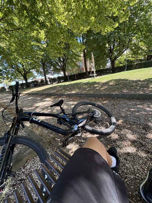 Gt force 2024 pro carbon