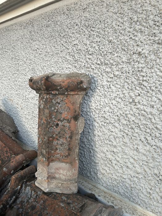 De vanzare coame Jimbolia