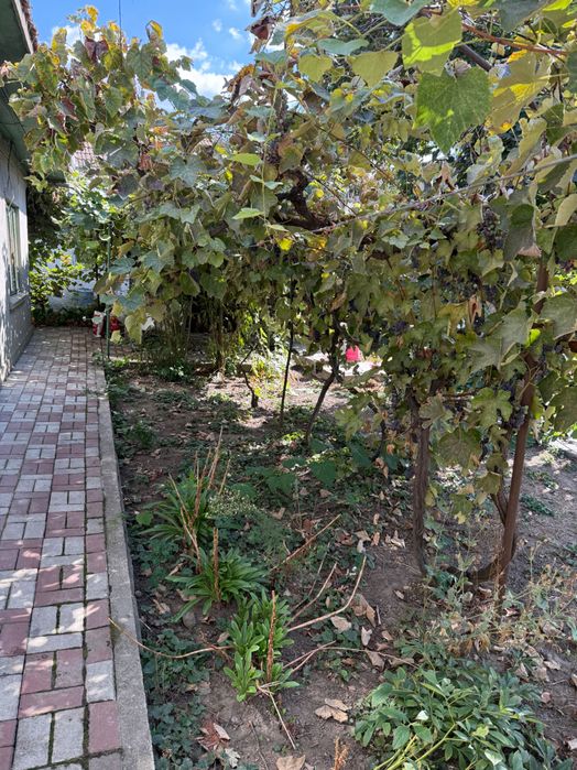 Casa bunicii in Fetesti Gara