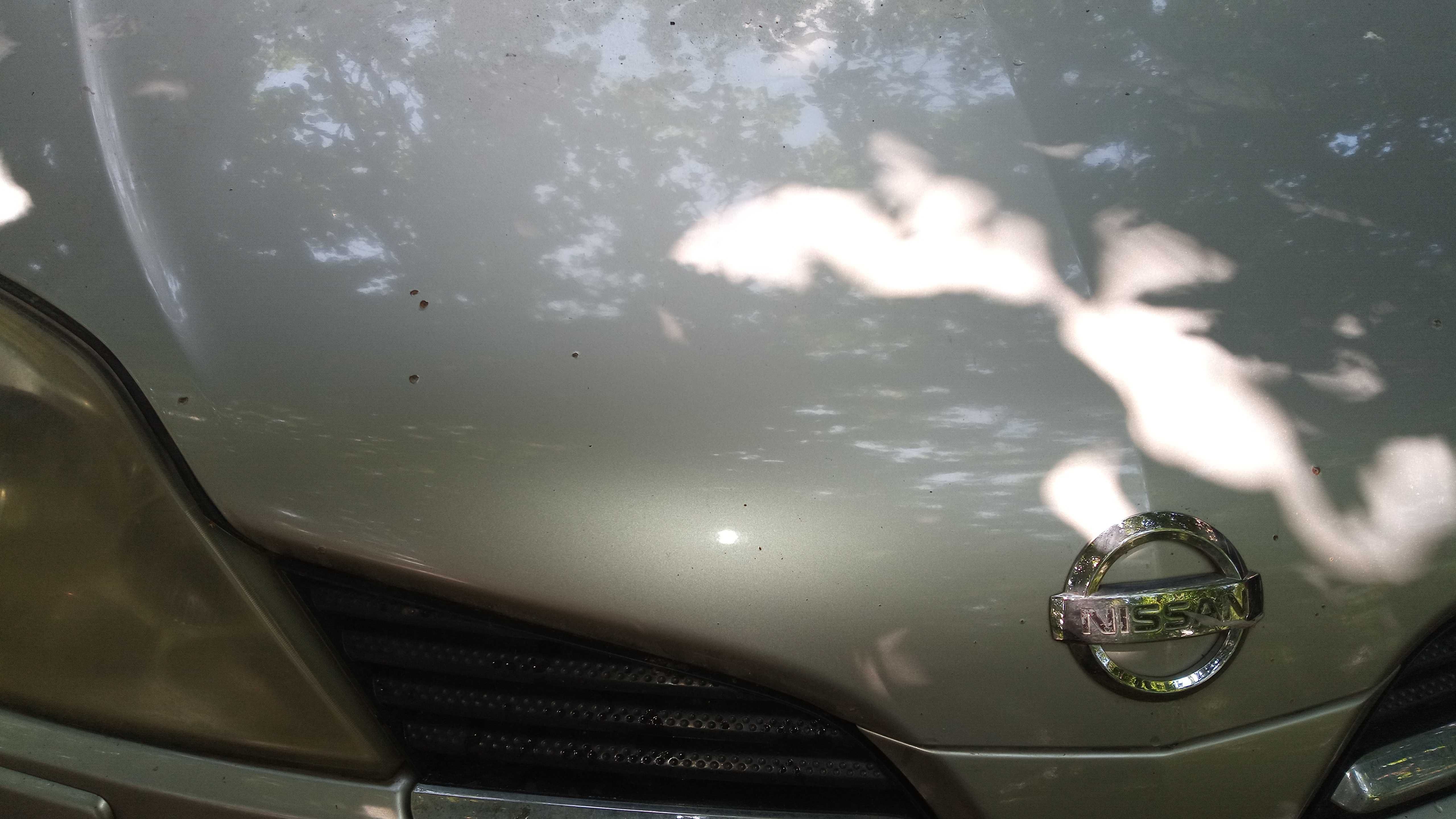 Nissan Primera P12