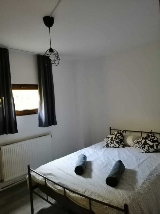 Cabană cu 10 camere