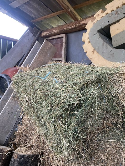 Vand baloti de lucerna randul 2