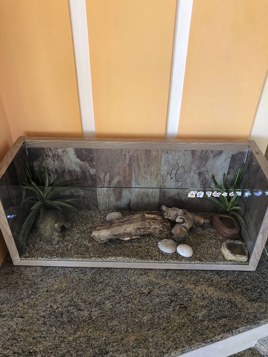 Терариум за гекон