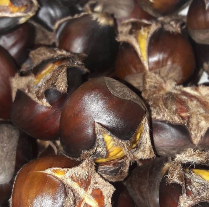 buna ziua avem castane de vanzare tauti de sus pret 25 lei kg