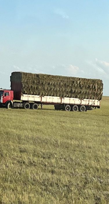 Шөп! Покос 2025 разнотравье