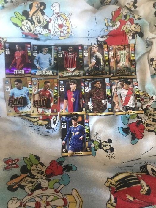 Vand cartonase panini