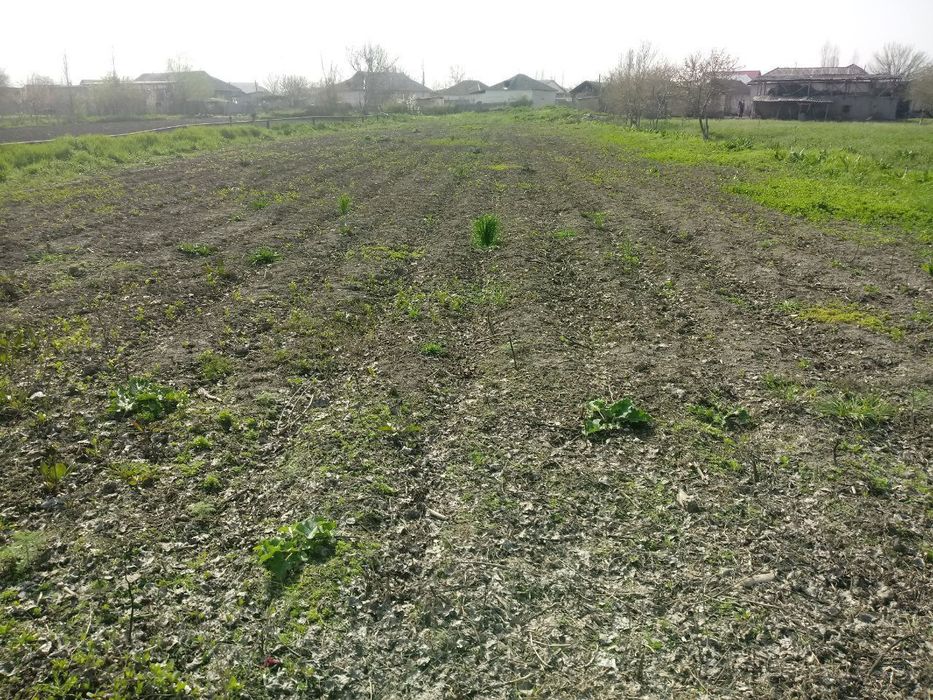 Тошкент вилоятида участкалар сотилади