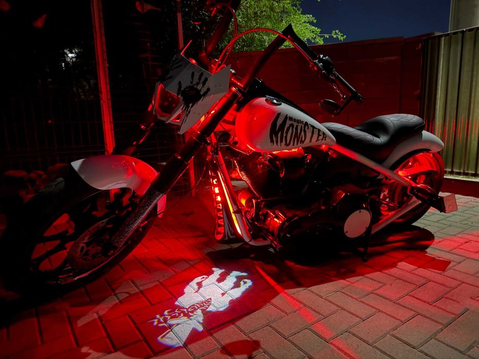 Harley-Davidson Custom 2025 - 1800 motor S&S - Big Dog Pitbull