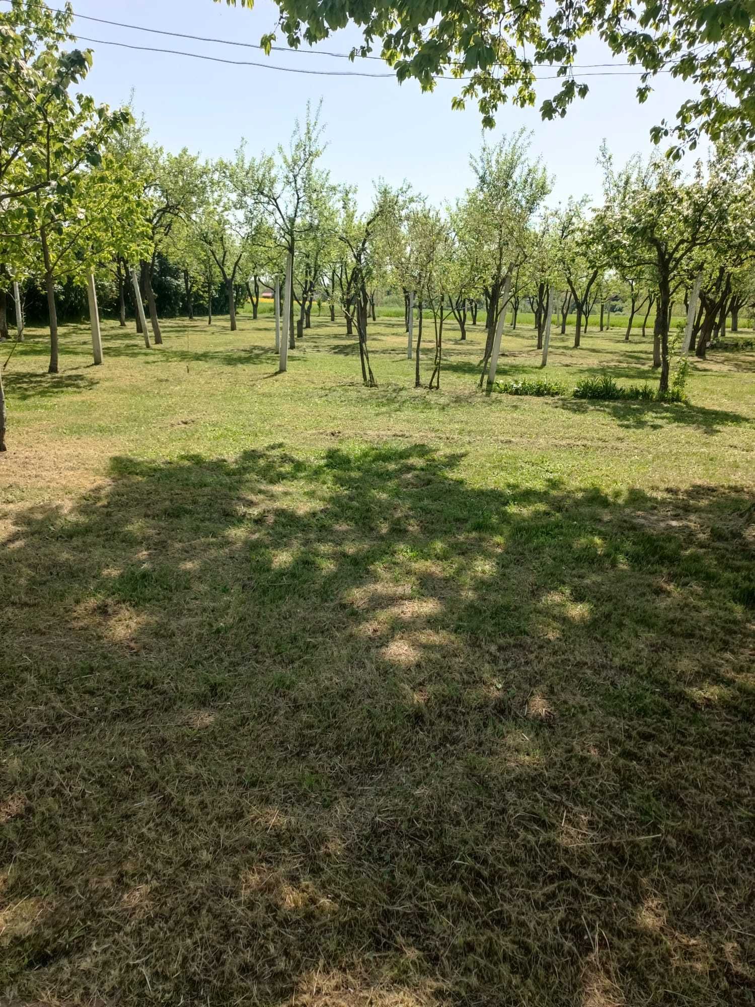 Fermă agricolă Jud Bihor 40282 mp