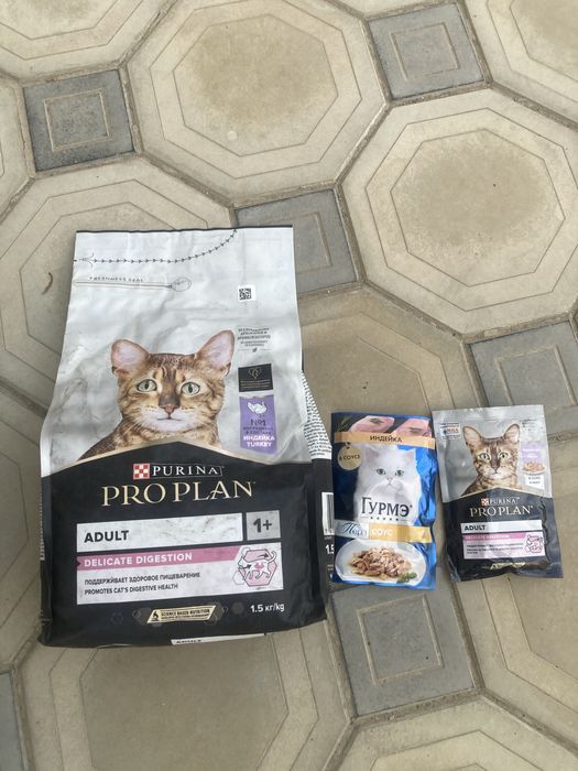 Корм для кошек котов котят