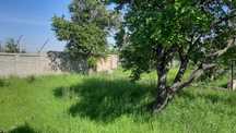 5 sotixdan 2 dacha sotiladi qibray tumanida