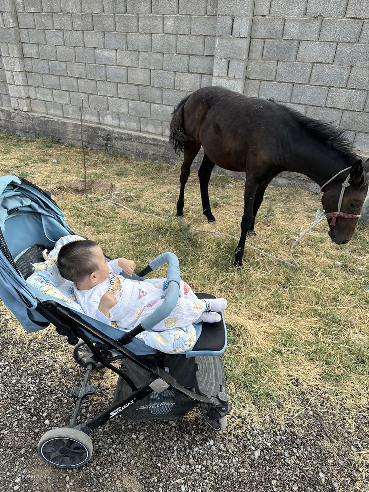 Ходунок , ванна, коляска , отырғызып үйрететін