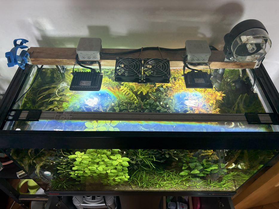 Acvariu complet Eheim vivaline 126 led cu mobila