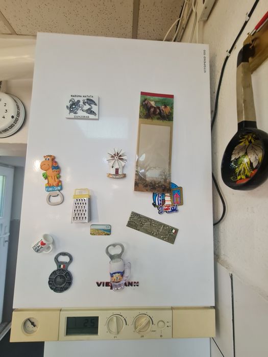 Viessman Vitopend 100