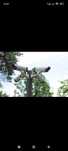 Montaj camere supraveghere, video