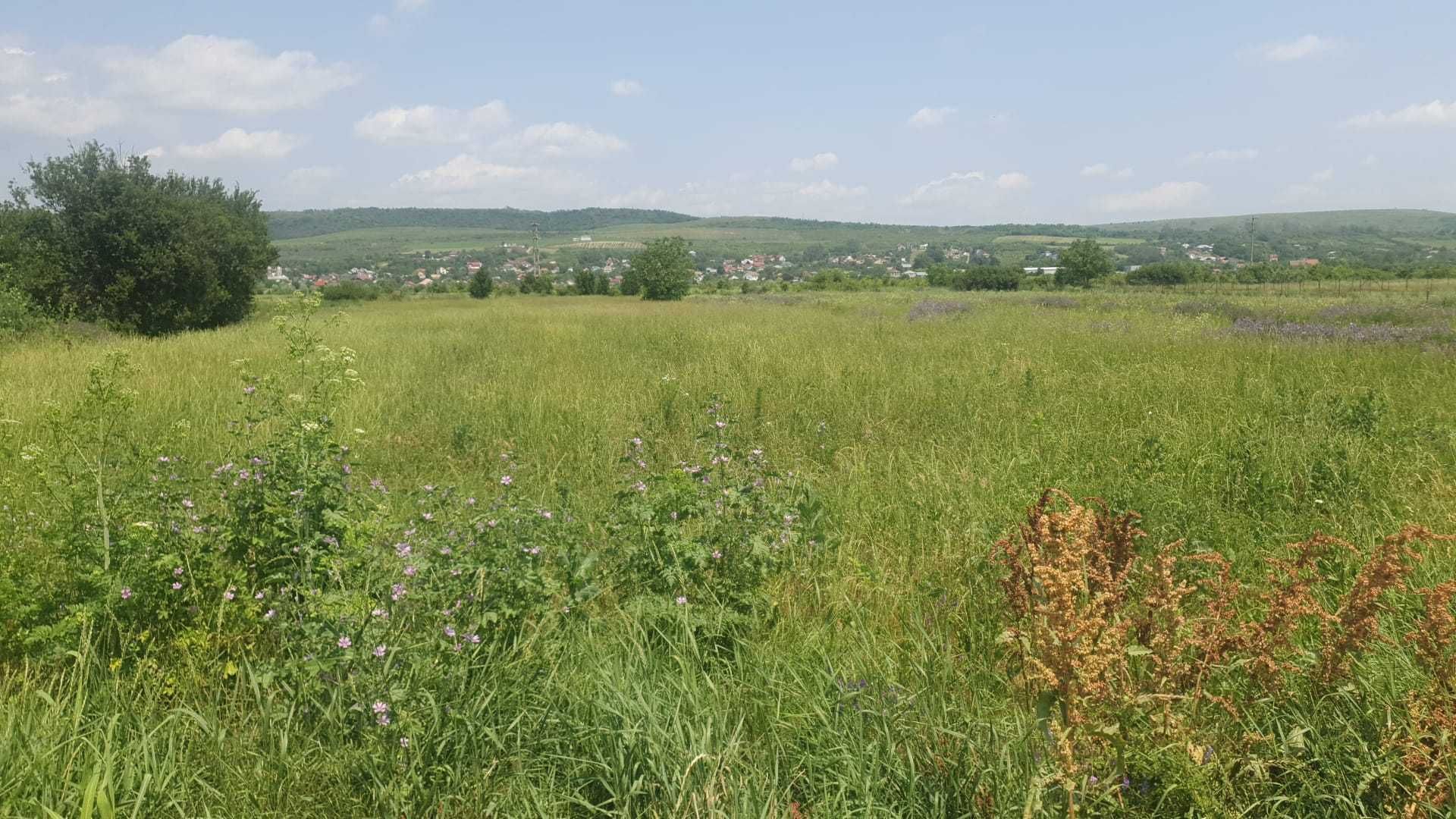 Teren 3580mp  zona Muzeul Golesti Arges