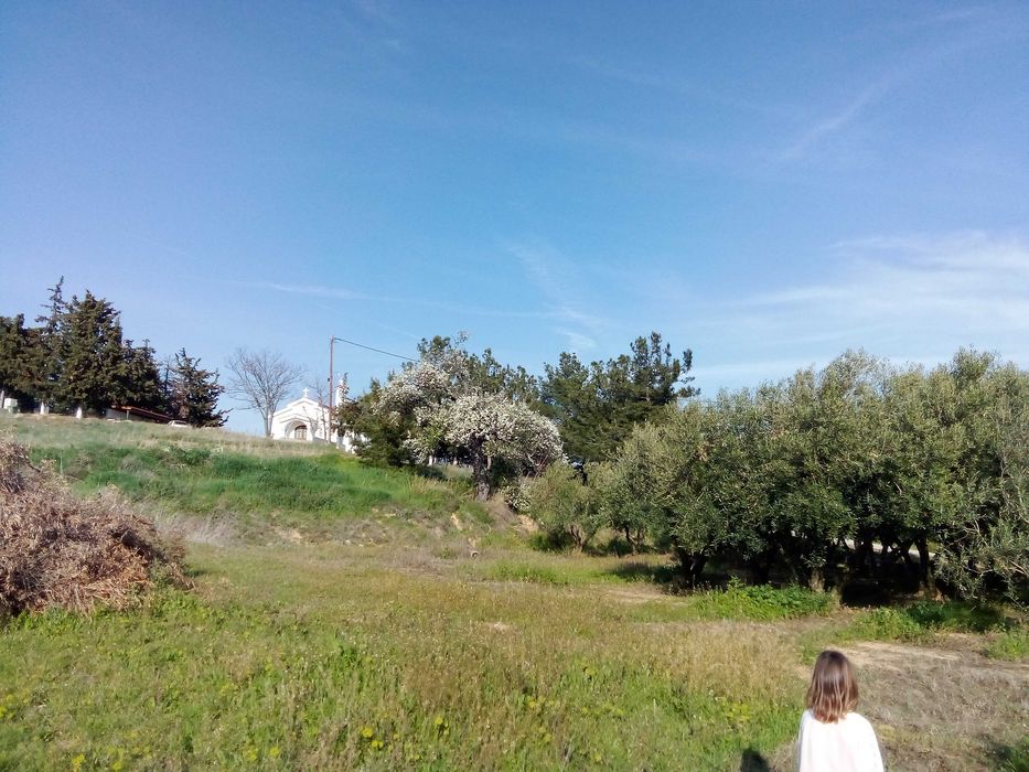 Парцел 790; кв.м. в с. Офринио, Панорама море-115000 евро.