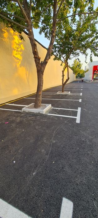 Асфальт vip элит