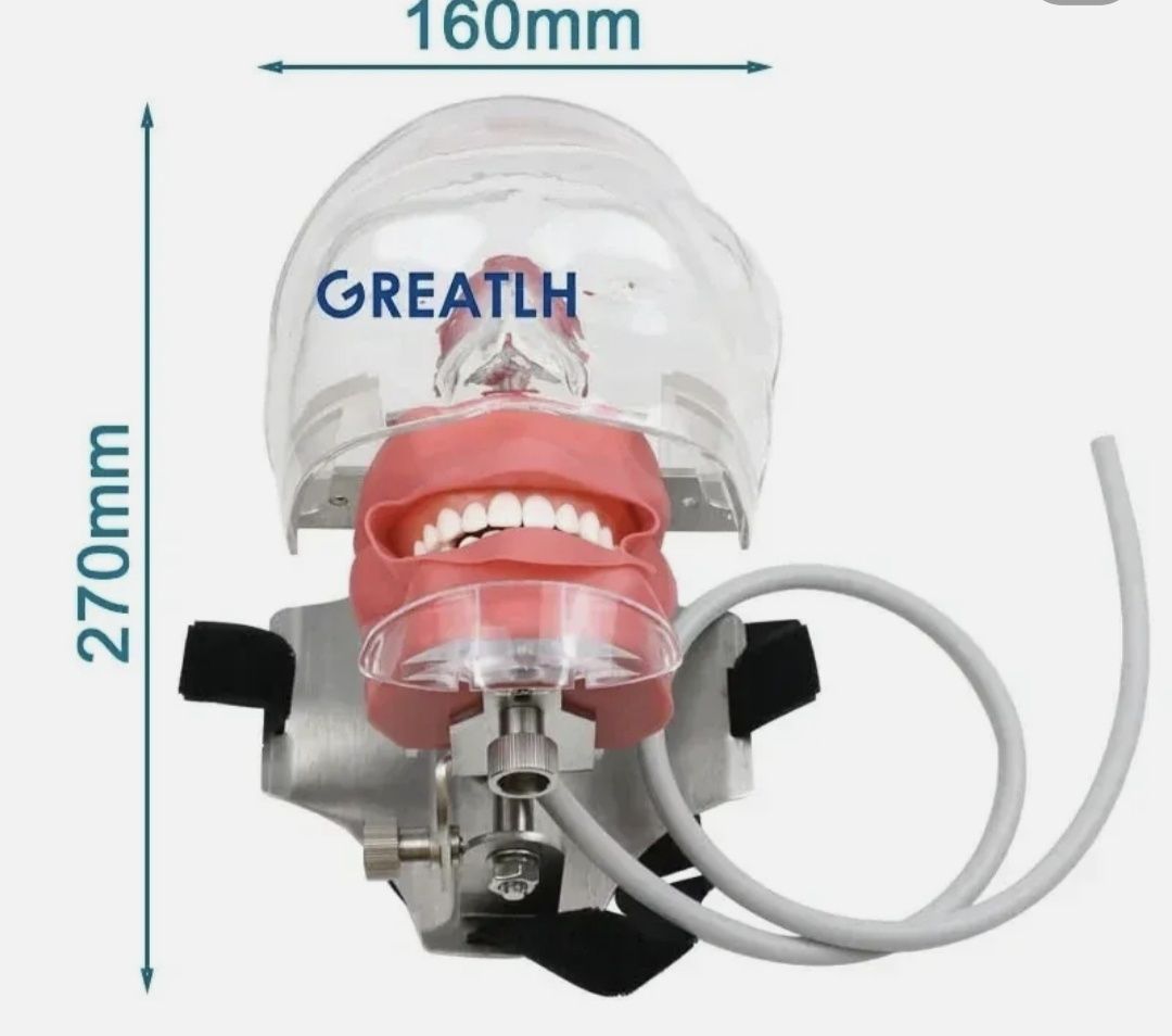 Stomatologiya simulyator patsient