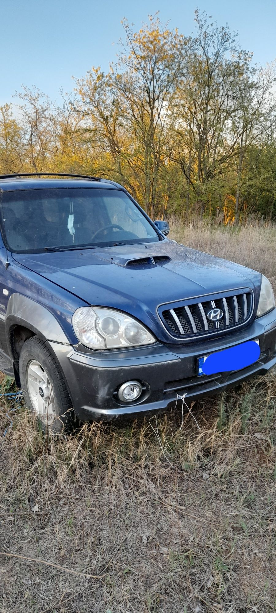 hyundai terracan