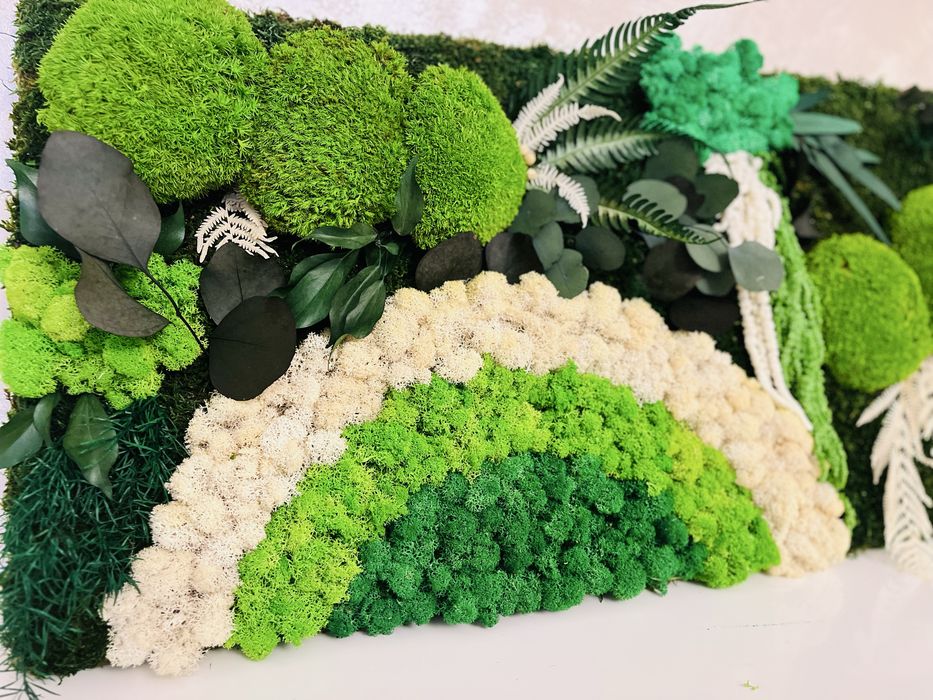 Tablou cu licheni, muschi si plante stabilizate