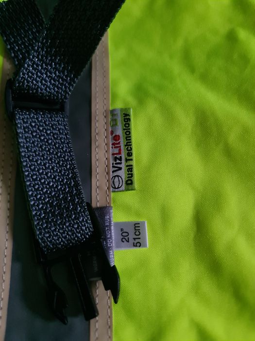 Hainuta catei, reflectorizanta