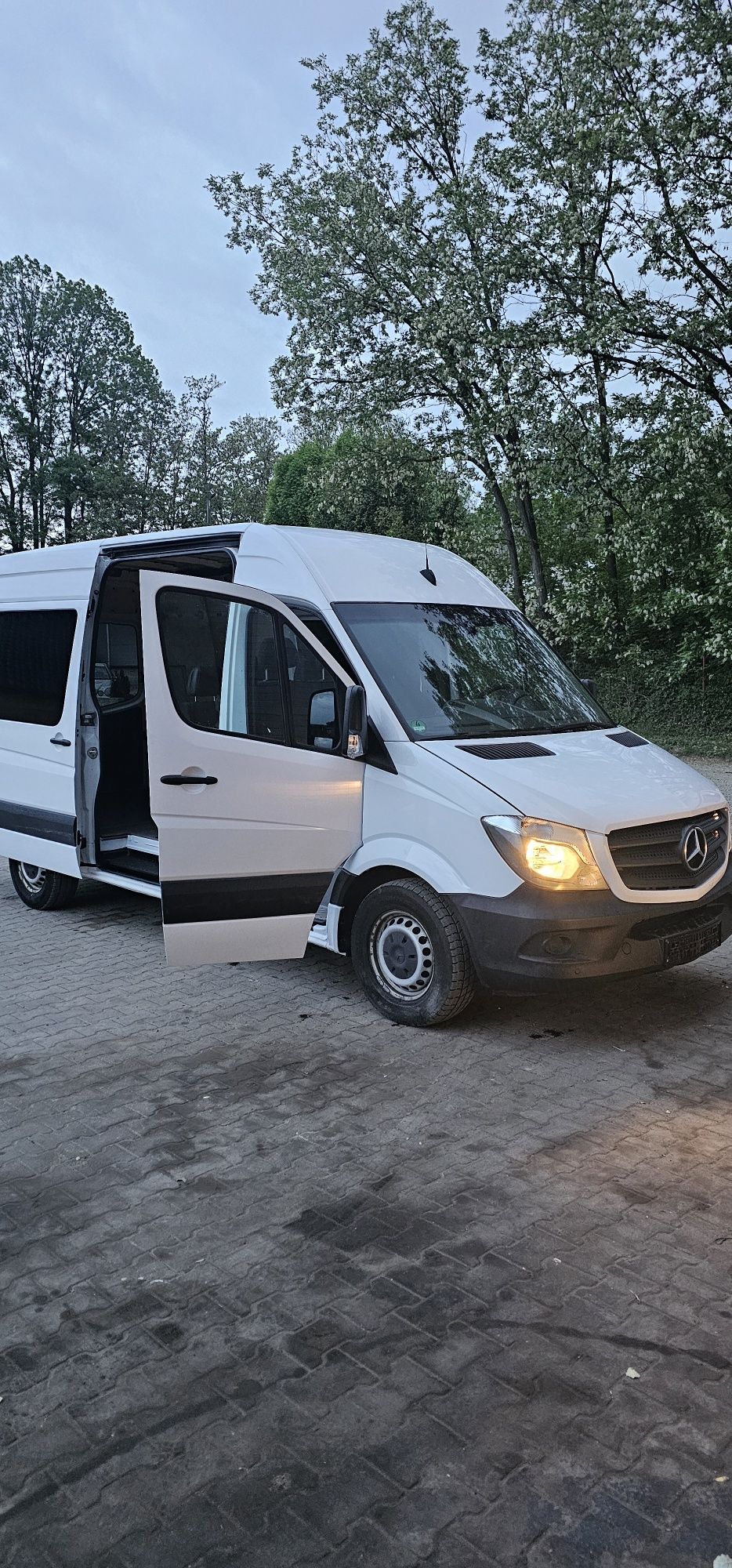 Mercedes Sprinter 319 2017 5+1