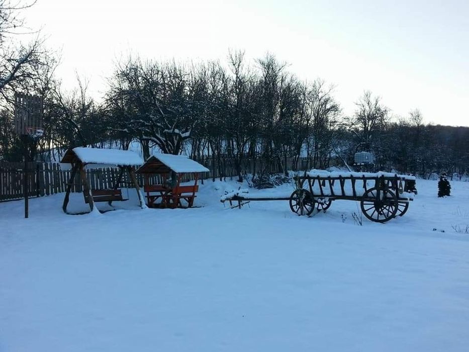 Pensiune libera de revelion