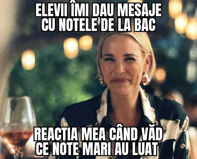 Meditatii logica bac