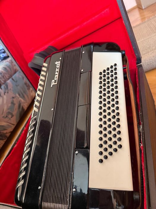 Acordeon Parrot 80 basi + case original