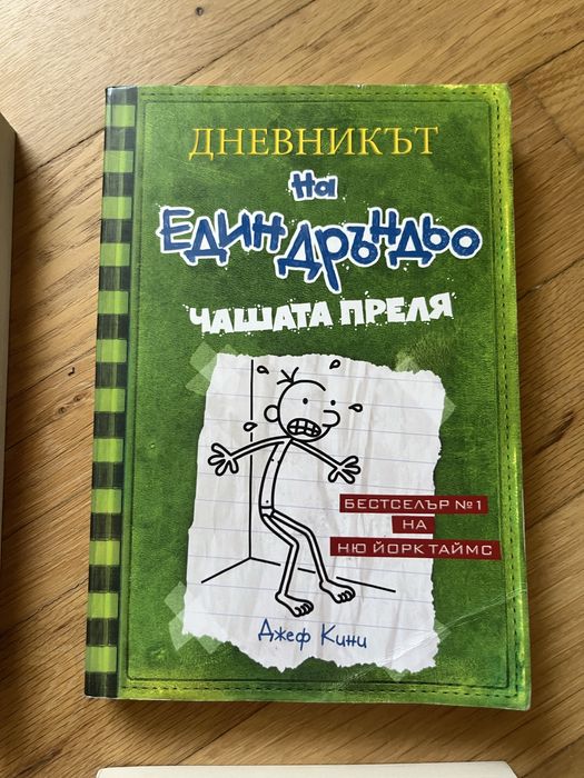 Дневникът на Един Дръньо от Джеф Кени