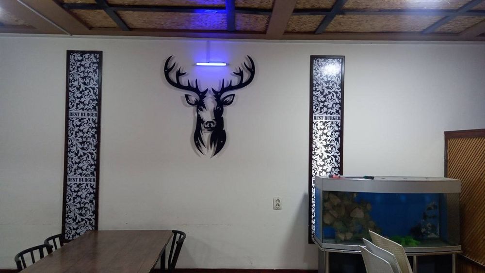 Lazerli gravirovka TTS 55 Pro