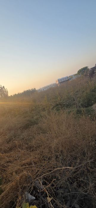 10 sotix  tomorqa  sotiladi