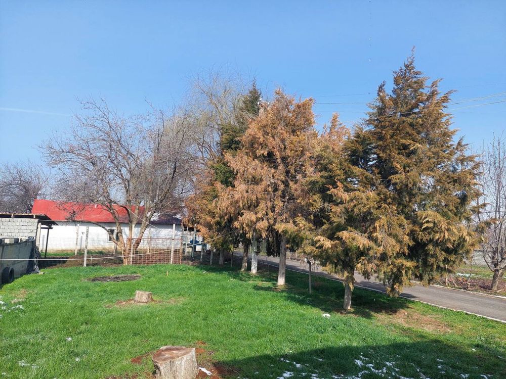 Продается ФЕРМА, 1 гектар , Паркентский район