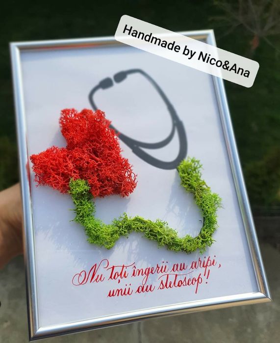 Vând aranjamente,tablouri si ceasuri cu lichieni stabilizați