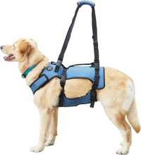 Dog lift harness